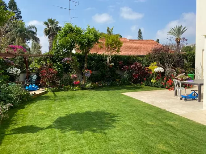 תחזוקת גינה 2